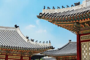 中式古建筑屋顶与飞鸟