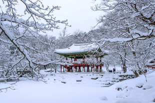 雪覆古亭山林静谧之景