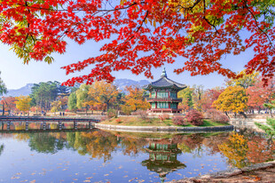 秋日湖畔红叶古建筑美景