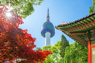 首尔景福宫旁的塔景