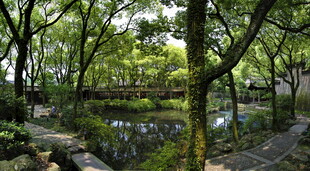 林间静谧池塘景观