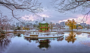 雪后湖畔美景