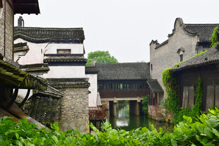 江南古宅绿意环绕的景致