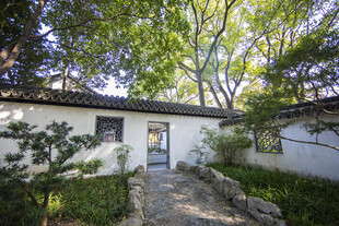 庭院小屋静谧自然之景