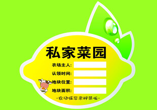 草莓