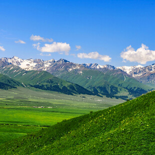 草原雪山美景