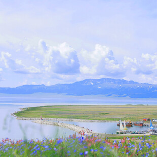湖畔花海美景