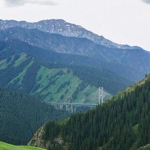 山峦葱郁的壮美自然景观