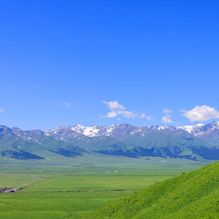 草原与雪山的壮美风光
