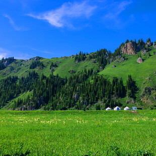 草原青山间的宁静景致