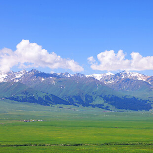 草原雪山美景