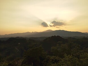黄昏下的山峦与茂密植被