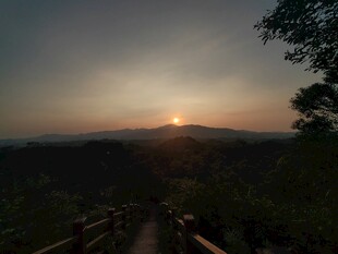黄昏山林间的静谧步道