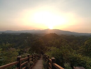 夕阳下的山间木质步道