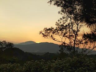黄昏山林景色
