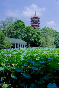 重庆碧津公园