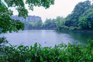 重庆公园