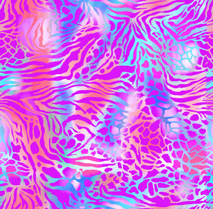 彩色斑马纹