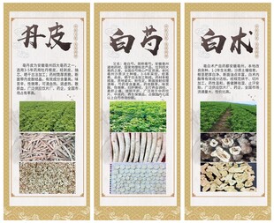中药材海报
