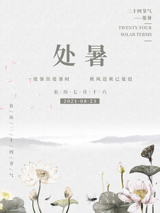 处暑时节荷花与飞鸟图景