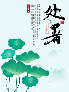 处暑时节的清新荷花景象