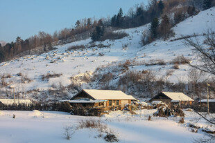 冬日山村雪景