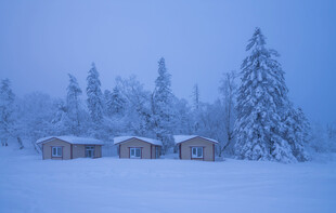 雪覆木屋静谧冬日景象