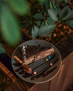 美味巧克力蛋糕配绿植