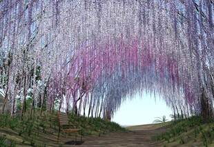 梦幻紫藤花隧道美景