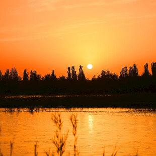 夕阳下的湖畔美景