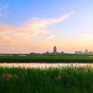 河畔日暮美景
