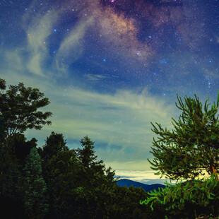 夜空下的森林与璀璨星河