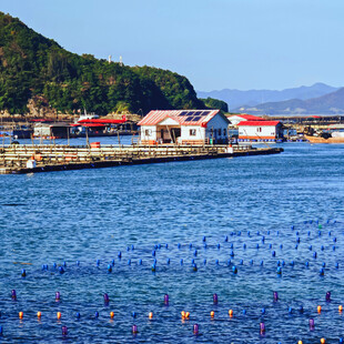 海边渔村与海上养殖景观