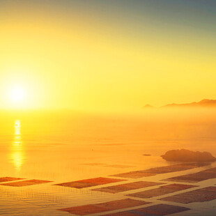 海上日出与光伏阵列美景