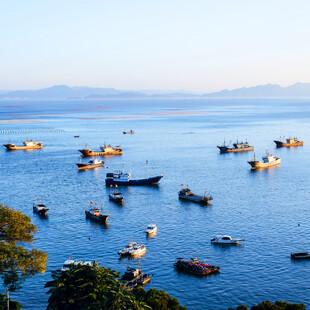 海上渔船群景