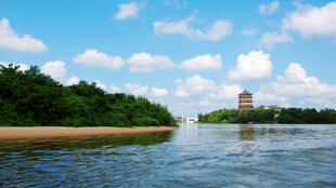 河畔绿树与远处塔楼风景