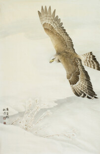 雪野中展翅翱翔的雄鹰