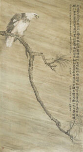 枝头栖息的鸟儿