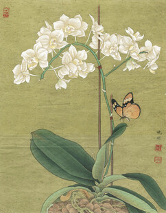 水墨白兰花与蝶图