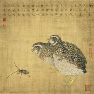 双鹑图