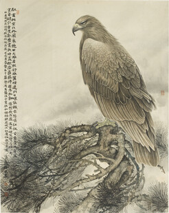 岩石上的雄鹰