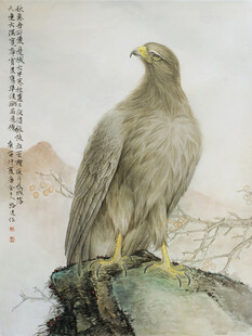 雄鹰立于石上