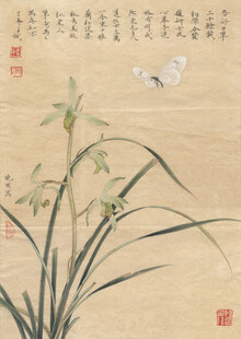 水墨兰花图