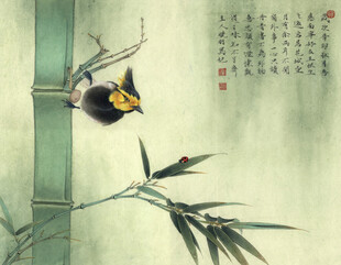 竹枝上的灵动小鸟