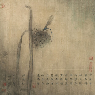 水墨蜻蜓图