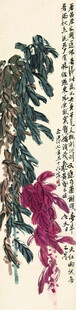 多彩植物插画