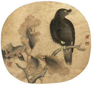 国画中栖息枝头的黑鸟