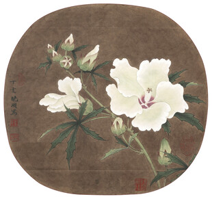 圆形白槿花国画