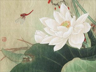 水墨荷花蜻蜓图