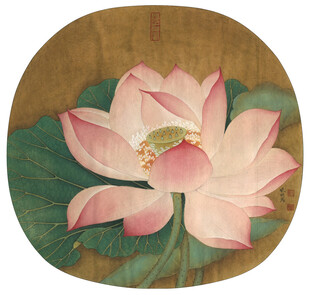 古典工笔绘粉色荷花